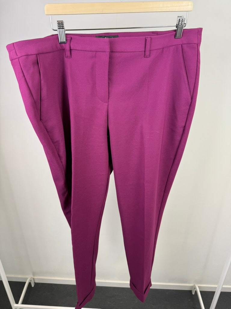 MS Mode - Broek - paars-roze, rechte pasvorm, blinde ritssluiting - XXL